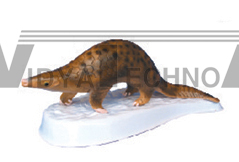 The model of emulation pangolin